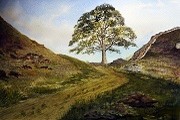 Sycamore Gap