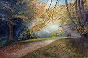 Autumn at Howick Hall